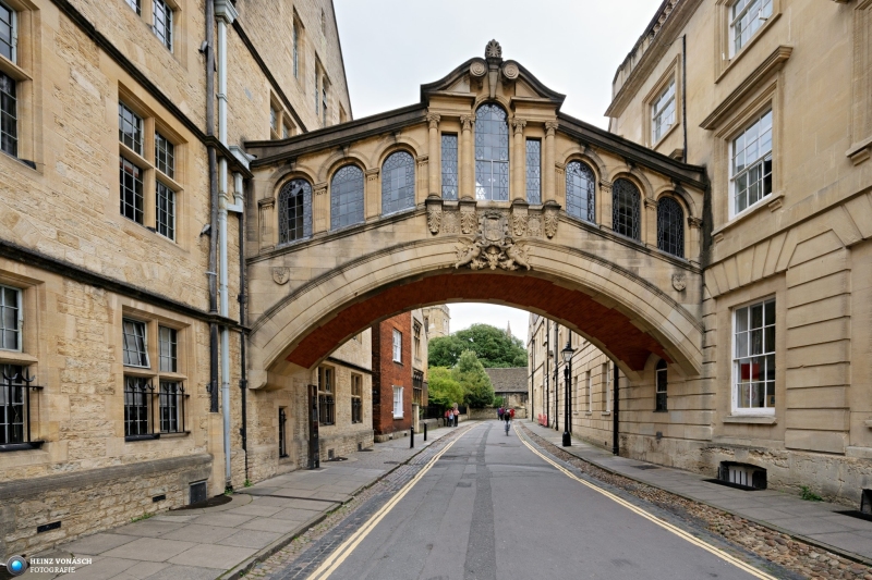 Oxford 4