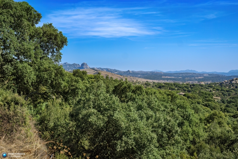 Sardinien_2023_0160 Sardinien_2023_0160