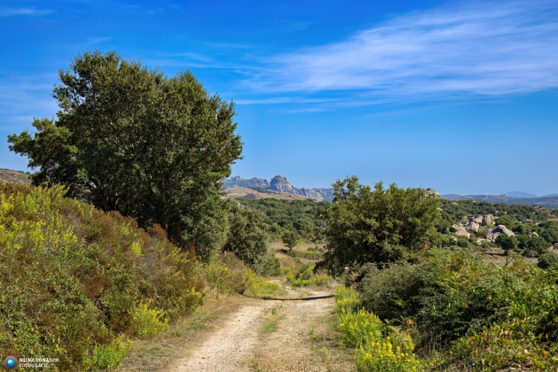 Sardinien_2023_0162 Sardinien_2023_0162