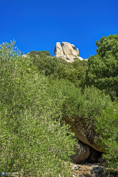 Sardinien_2023_0163 Sardinien_2023_0163