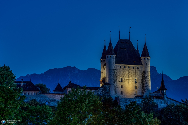 Schloss Thun Schloss Thun