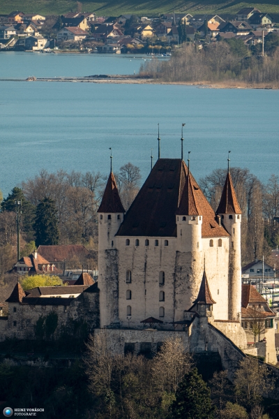 Schloss Thun Schloss Thun