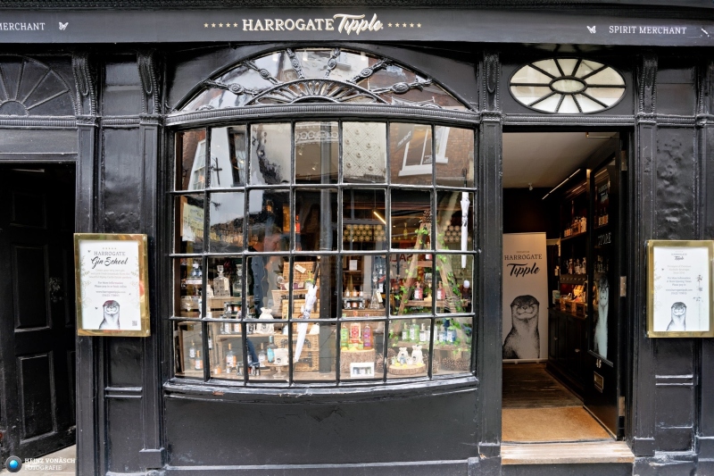 York 1
