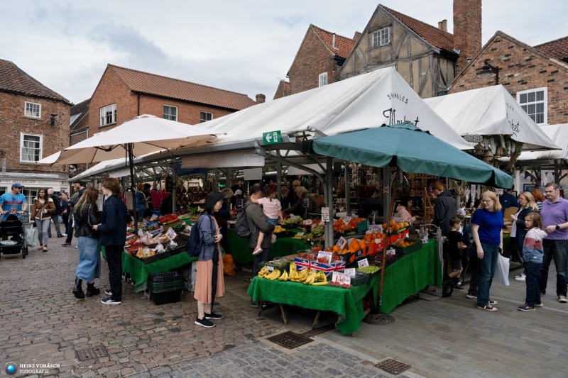 York 15