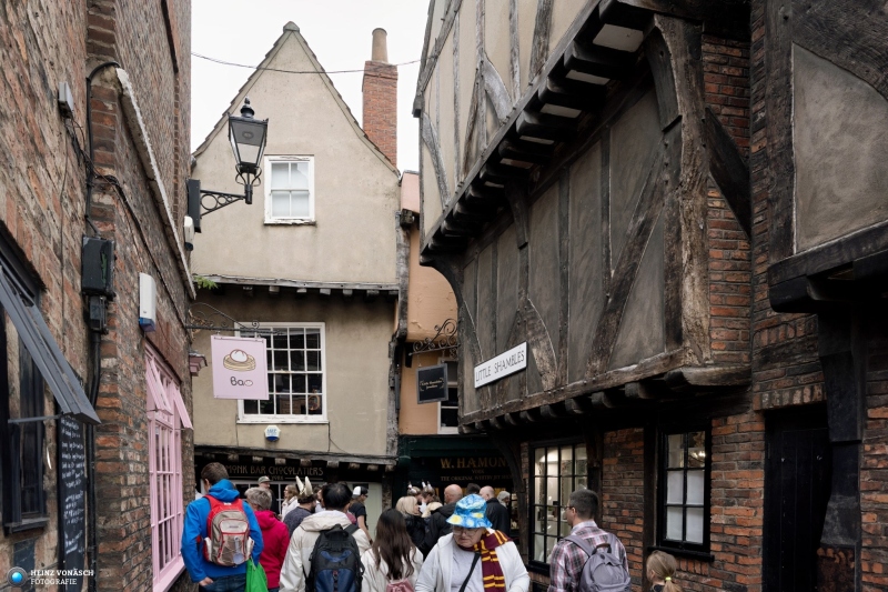 York 6
