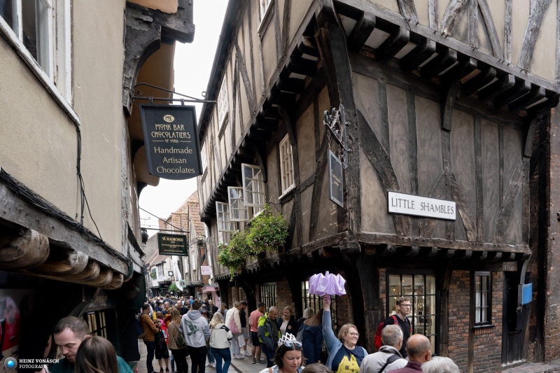 York 7