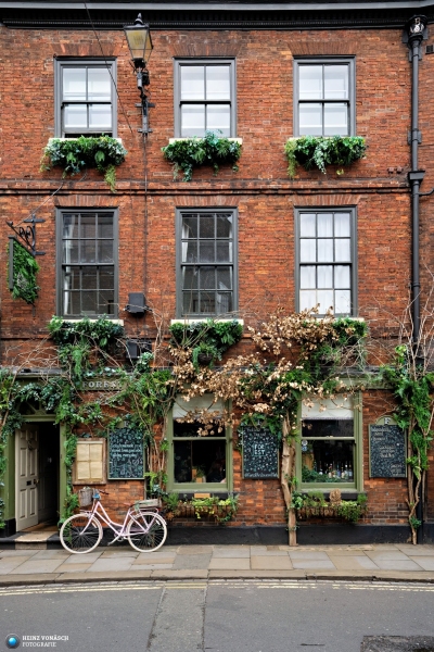 York 8
