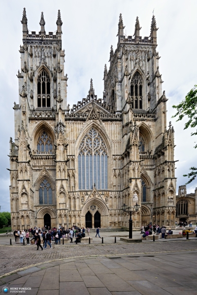 York 11