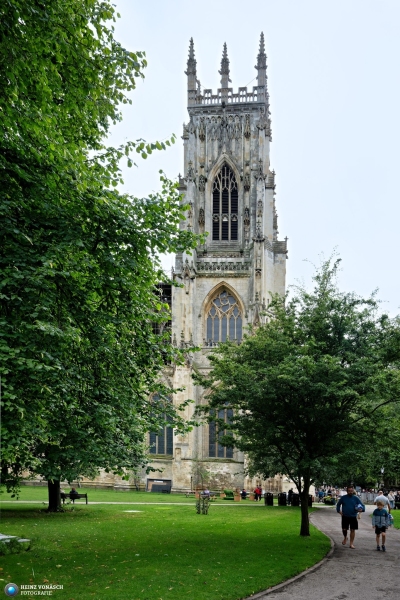 York 12
