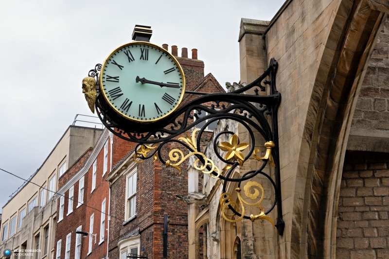 York 13