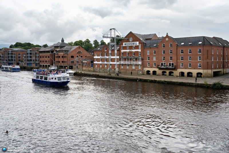 York 24