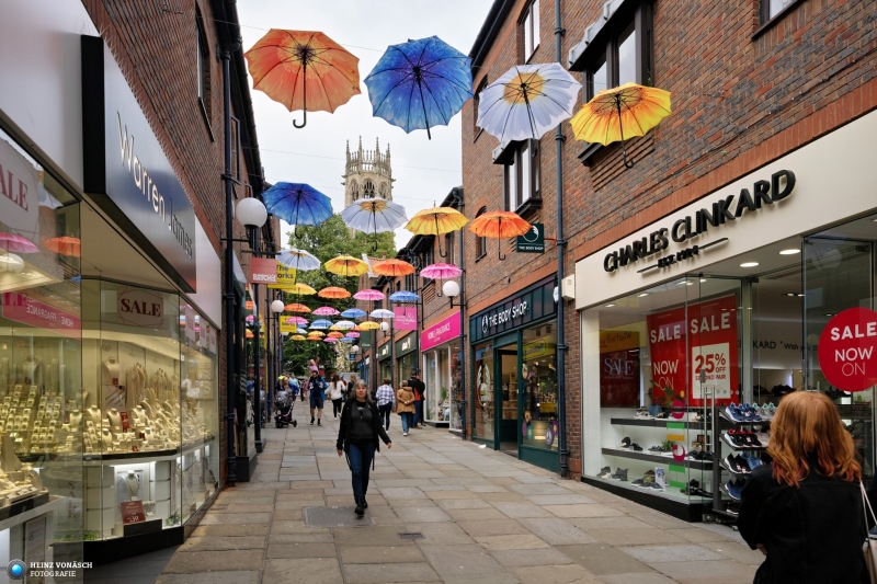 York 19