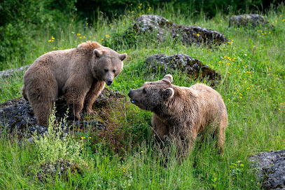 Natur- und Tierpark Goldau