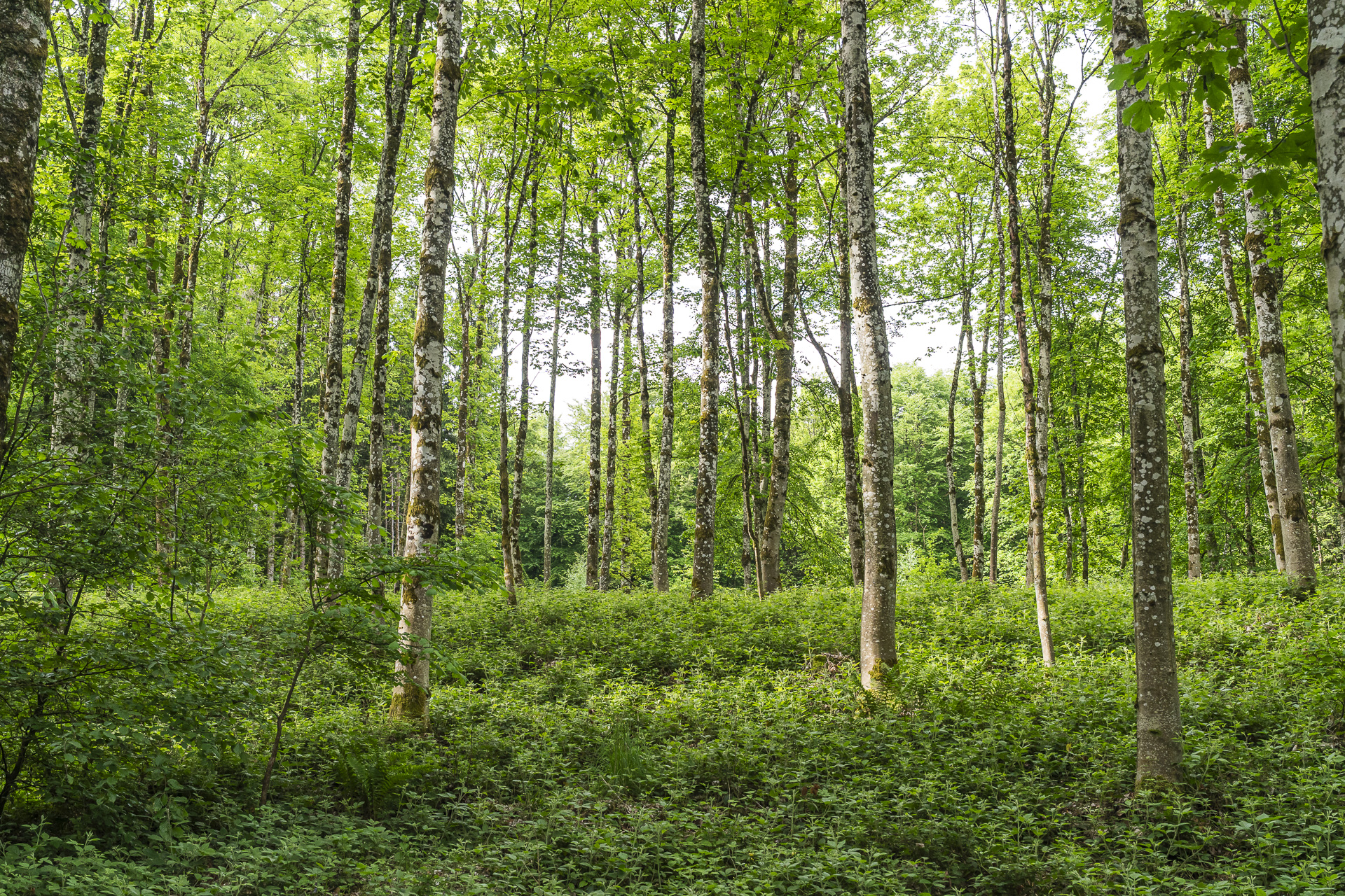 Durch den Teufelskeller zum Egelsee