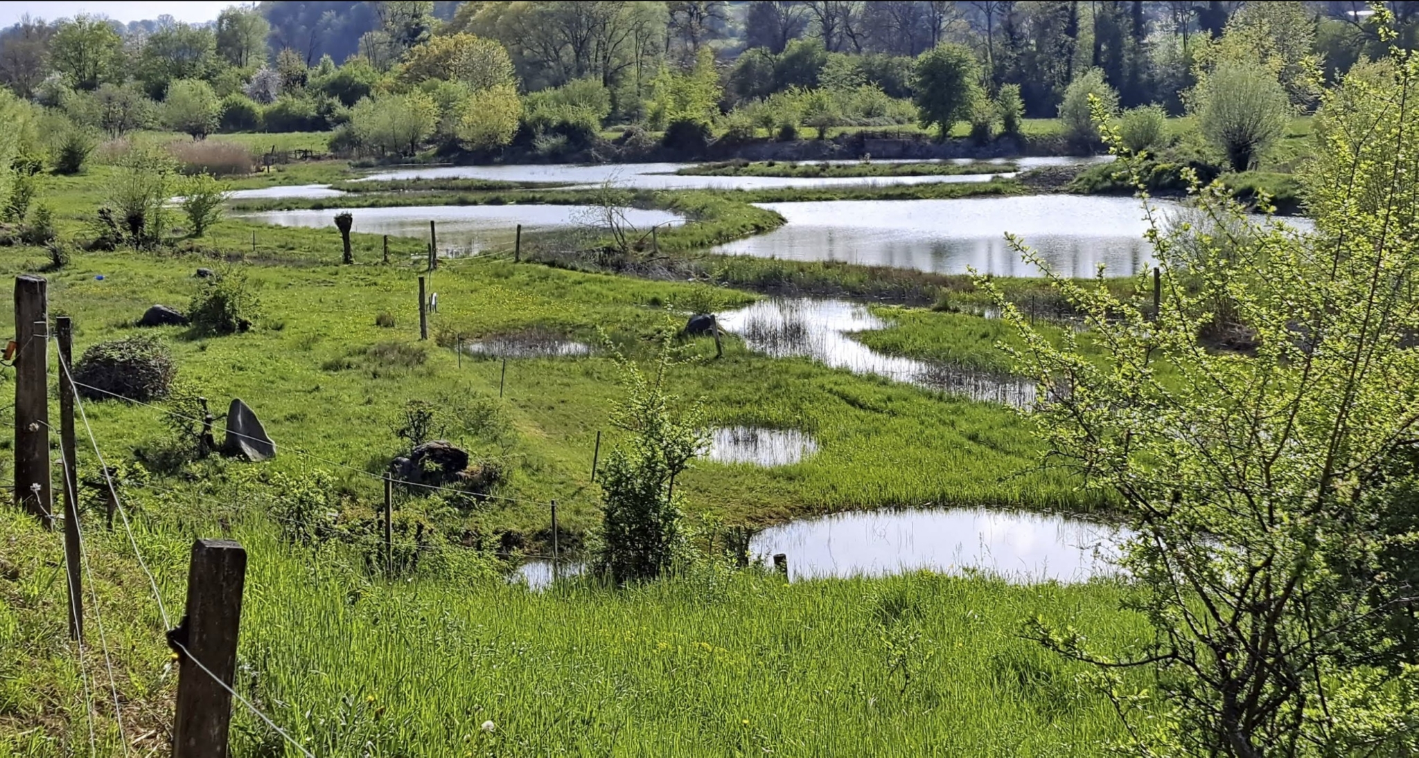 Auried Naturschutzgebiet